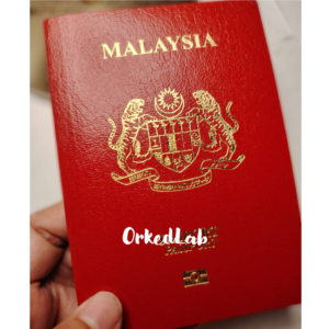Read more about the article 15 Minutes and It’s Done: 7 Steps to Renew Your Passport