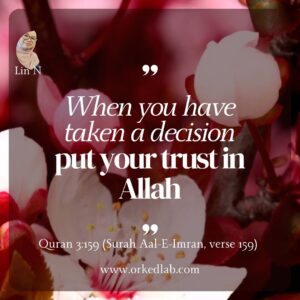 Read more about the article A Reflection